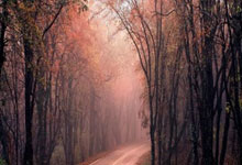 乐竞体育:足球老故事|加盟1个月球队解散,32岁朝鲜族老将和他的荒诞足球人生.