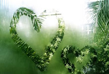 乐竞体育:梅西观战!37岁德约70分钟2-0进决赛:提433万奖金 冲生涯第100冠.