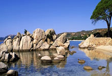 乐竞体育:梅西观战!37岁德约70分钟2-0进决赛:提433万奖金 冲生涯第100冠.